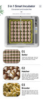 WONEGG 36-60 Incubateur d'œufs de caille de poulet canard Incubateur d'œufs automatique pour œufs à couver