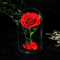 Vente en gros de fleurs décoratives de qualité supérieure pour Noël, mariage, fête des mères, roses rouges préservées sous cloche en verre pour la Saint-Valentin