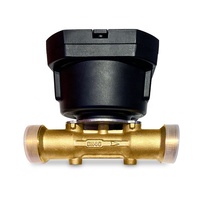 Compteur d'eau intelligent DN32 R250 IP68 Compteur d'eau numérique prépayé sans fil LoRaWAN M-BUS Rs-485 Compteur d'eau à ultrasons Fabricant