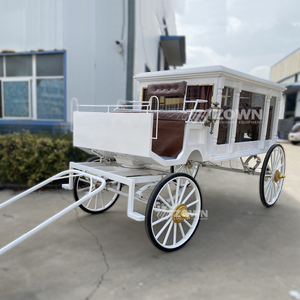 Carroza Fúnebre Eléctrica Vintage con Certificación CE Europea para Uso en Funerarias Locales - Product Image 3