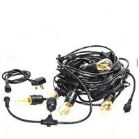 Guirlande lumineuse LED S14 E27 de 10 m (48 pi) pour la décoration de fêtes, éclairage festif, éclairage vintage pour patio, lumières de chaîne extérieures