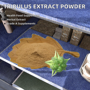 Extracto Herbal de Tribulus Terrestris en Polvo con Vitaminas, Empaquetado en Tambor, Grado Suplemento, Extraído con Solvente - Product Image 2