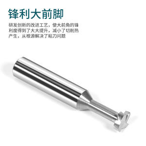 Fraise à rainurer en aluminium à 55 degrés, outil de coupe en T à revêtement en carbure intégral, fraise à rainurer en carbure de tungstène, outil de coupe et de façonnage - Product Image 5