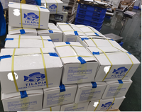 Volle Zwarte Tilapia IQF Diepvriesvis 100% Natuurlijk OPTIMUM Merk China Groothandel Export