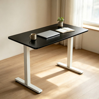 Fournisseur direct d'usine, table de bureau à domicile personnalisable, largeur réglable, assemblage rapide, cadre de bureau électrique confortable à hauteur réglable