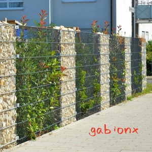 3/4 - Product Image 6