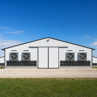 Bâtiment en acier pour poulailler, entrepôt, garage, hangar, abri agricole préfabriqué, structure d'élevage ventilée, conception de ferme