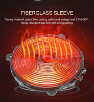 Cuisinière Commerciale Ample Wonder 3500W en Acier Inoxydable, Chauffage Électrique Rapide avec Fonction Minuterie