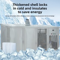 Machine à briques de glace industrielles de 500 kg pour le refroidissement des sites de construction et des tunnels, blocs de glace commerciaux pour fruits, légumes et fruits de mer