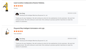 Palettiseur robotisé à 6 axes en acier inoxydable haute vitesse 1000-1500 sacs/heure pour poudre, ciment, aliments, programmation facile, garantie 1 an - Product Image 2