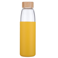 Bouteilles d'eau réutilisables en verre borosilicate de haute qualité, sans BPA, faites à la main, avec bouchon à vis, compatibles lave-vaisselle, 500 ml et 750 ml, cadeau pour la fête des mères