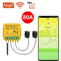 SLS 2-Channel WiFi Smart Energy Meter Clamp 80A Fase Tunggal 2 CT Monitor Konsumsi Daya Meter Tuya/Aplikasi Smart Life untuk Tenaga Surya