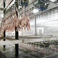 TCA machine automatique d'abattage de lapin, de porc et de poulet de haute qualité prix de l'équipement de la maison