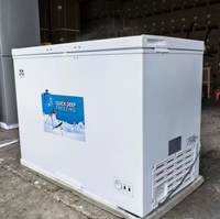Réfrigérateur vertical de 269 L pour congélation et surgélation rapide, commercial, écoénergétique, avec panneau revêtu VCM