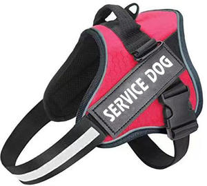 طوق للحيوانات الأليفة بالجملة، طراز سترة قماشية للكلاب X2، حزام صدر للأنشطة، قابل للتمدد وقابل للسحب، إغلاق بمشبك بشعار، للحيوانات الصغيرة والمتوسطة - Product Image 6