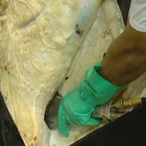 Attrezzature Complete personalizzate per macelli di carne bovina per attrezzature per la macellazione di piccoli bovini - Product Image 2