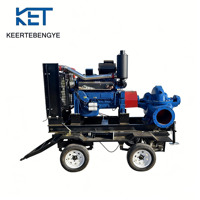 Pompe horizontale à double aspiration en fonte à haute efficacité énergétique pour systèmes de refroidissement industriels, conception à double volute, haute performance OEM
