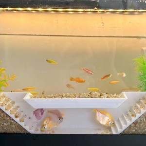 Trapezoidal Fish Viewing Tunnel White And Black ABS Aquarium Decoration For Shrimp Sanctuary Hiding House Landscaping - Product Image 5