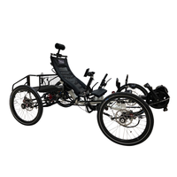 Quadricycle électrique 48V 500W à double suspension pour adultes, avec porte-bagages, idéal pour le tourisme