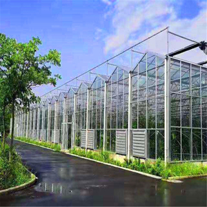 Invernadero Económico de Acero Galvanizado en Caliente de Gran Tamaño y Múltiples Tramos con Vidrio Templado para <span class=keywords><strong>Agricultura</strong></span> Hidropónica - Product Image 4