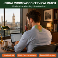 Autocollant cervical chauffant aux herbes Work Life, OEM, marque privée, faible MOQ, vente en gros, fournisseur en vrac, dropshipping, pour femmes, hommes, adultes, CE