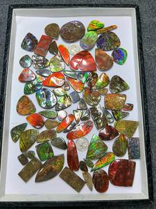 Ammolite naturelle, pierre précieuse en vrac, cabochon multicolore, forme ovale, pierre polie pour la fabrication de bijoux - Product Image 1