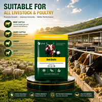 SAIK RED BULLS Additif d'engraissement pour bovins et ovins, complément alimentaire haute efficacité pour la prise de poids, enzymes de qualité alimentaire favorisant la croissance