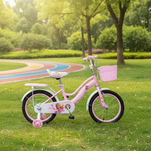 Vélo robuste pour enfants en acier à haute teneur en carbone, design élégant avec peinture laquée, <span class=keywords><strong>frein</strong></span> à disque avant et <span class=keywords><strong>frein</strong></span> à ruban arrière, vente en gros en stock - Product Image 3