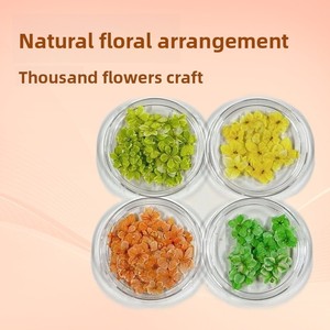 Flores Secas Naturales Mini, Empacadas al Vacío, Prensadas, para Arte <span class=keywords><strong>de</strong></span> Uñas, Precio <span class=keywords><strong>de</strong></span> Fábrica, Venta al Por Mayor - Product Image 2