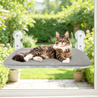 Nouveau jouet à mâcher moderne en peluche pliable pour chat, à ventouse puissante, à suspendre pour balcon, pour chatons de grande taille et corpulents