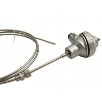 Capteur thermocouple personnalisé, capteur de température industriel pour divers scénarios d'application