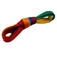 Lacets plats en polyester dégradé arc-en-ciel, lacets colorés pour baskets, vente en gros