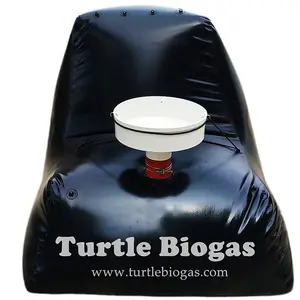 Draagbare Huis Biogas Systeem Methaan Vergister Opslagtank Machine