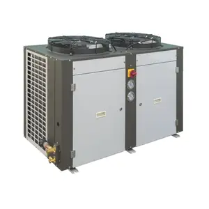 Unidad de condensación tipo caja de baja temperatura de alta calidad Unidad de refrigeración de cámara fría refrigerada por aire