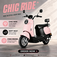 Scooter électrique rétro rose classique, directement de l'usine, 60V 800W, contrôleur 12 tubes, cyclomoteur urbain avec alarme antivol pour femmes