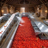 Hoogautomatische roestvrijstalen tomatenpureemachine voor de verwerking van groenten en fruit, capaciteit 1-50T/H