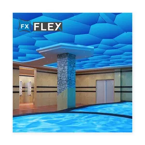 FLFX gros chine 3D impression visuelle MSD PVC plafond tendu Film