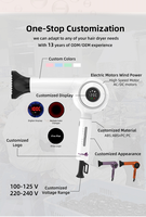 Aksesoris Pengering Rambut Dc Gun 1800 Watt Chrome Wave Solano Produsen Italia General Electric Suku Cadang Hard Top untuk Pengering