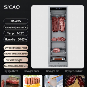 SICAO Armoire de maturation à froid pour steak de bœuf, en acier inoxydable, intégrée, pour la maison et la restauration - Product Image 2
