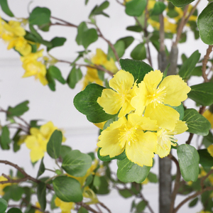 Qihao 5,7 pieds Arbre artificiel à fleurs jaunes en pot, Plante artificielle d'amandes vertes, Faux arbre à fleurs d'abricot pour la décoration intérieure et extérieure - Product Image 5