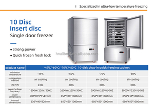 Congelador de Acero Inoxidable de Baja Temperatura, Modelo AB-10C-45, Sin Escarcha, 230L, Comercial, para Hoteles, Plantas de Carne, Servicios de Catering - Product Image 5