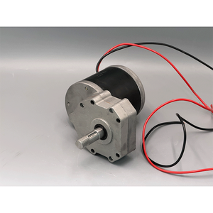 Motore DC a spazzole ad alta potenza 12V 24V 600W con albero di uscita da 18mm per la sostituzione del motore di tosaerba elettrico - Product Image 3