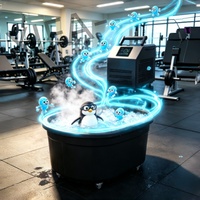 Baignoire à glace en acier inoxydable avec refroidisseur, ozone et contrôle Wi-Fi pour bain froid extérieur
