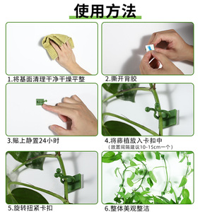 Support mural pour plantes grimpantes Green Ivy, clip adhésif, installation sans perçage, 100 pièces - Product Image 4