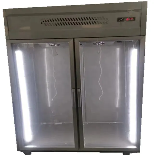 CE Edelstahl Vertikale Küchengeräte Gewerblicher Gefrier schrank Lebensmittel industrie Aufrechte Kühlschrank