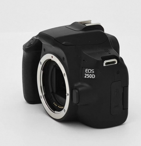 Cámara DSLR EOS 250D, Cuerpo Negro, Diseño sin Espejo, Sensor de Fotograma Completo de Grado Profesional - Product Image 6