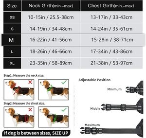 OEM Customized Logo Luxury Lace <b>Lights</b> Nylon Printing Adjustable No Pull Multifunction Soft Padded All Season Rower <b>Dog</b> Harness - Product Image 2