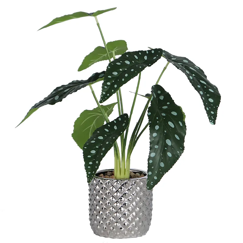 Custom Tuin Leverancier Groothandel Kunstmatige Alocasia Macrorrhiza Boom/Groene Plant Voor Indoor Outdoor Decoratie