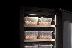 Contrôle tactile 2 à 40 ℃ température constante humidité affichage porte en verre tortue serpent oeufs 450L Reptile incubateur - Product Image 5