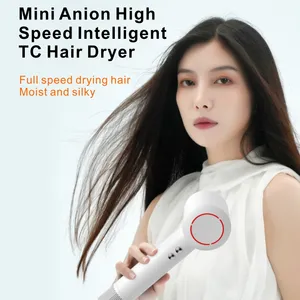 Amazon penjual teratas grosir pengering rambut profesional panas dingin 1650W pengering rambut ionik pengering rambut